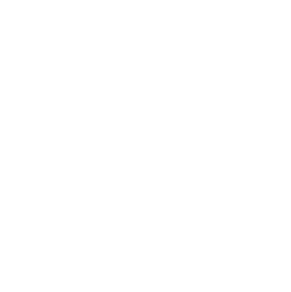 Max Streicher